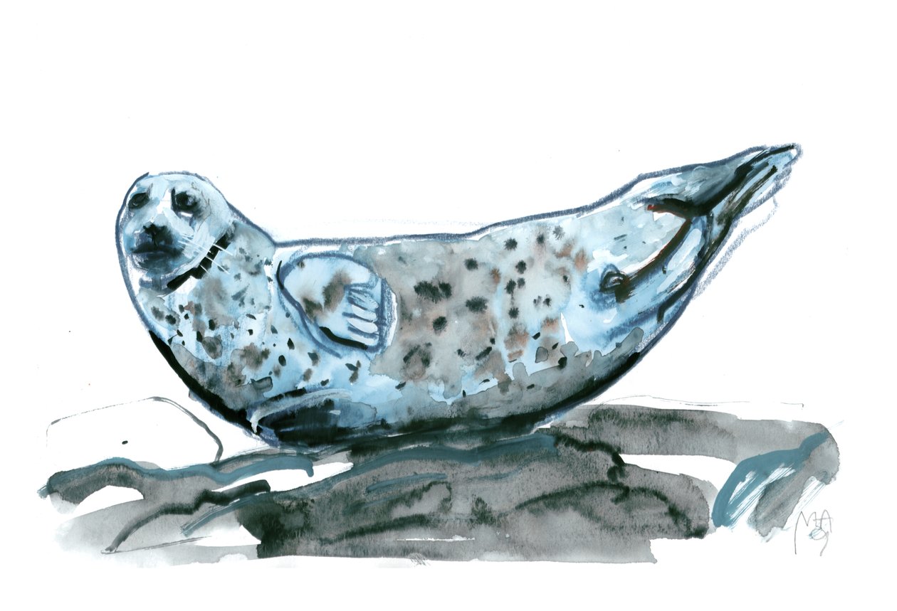 Rocky (seal), 2019 作者 马克·阿德灵顿