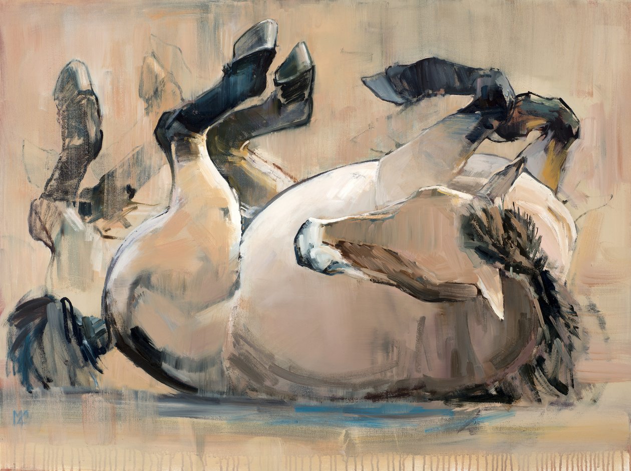 Roll，（Przewalski），2014， 作者 马克·阿德灵顿