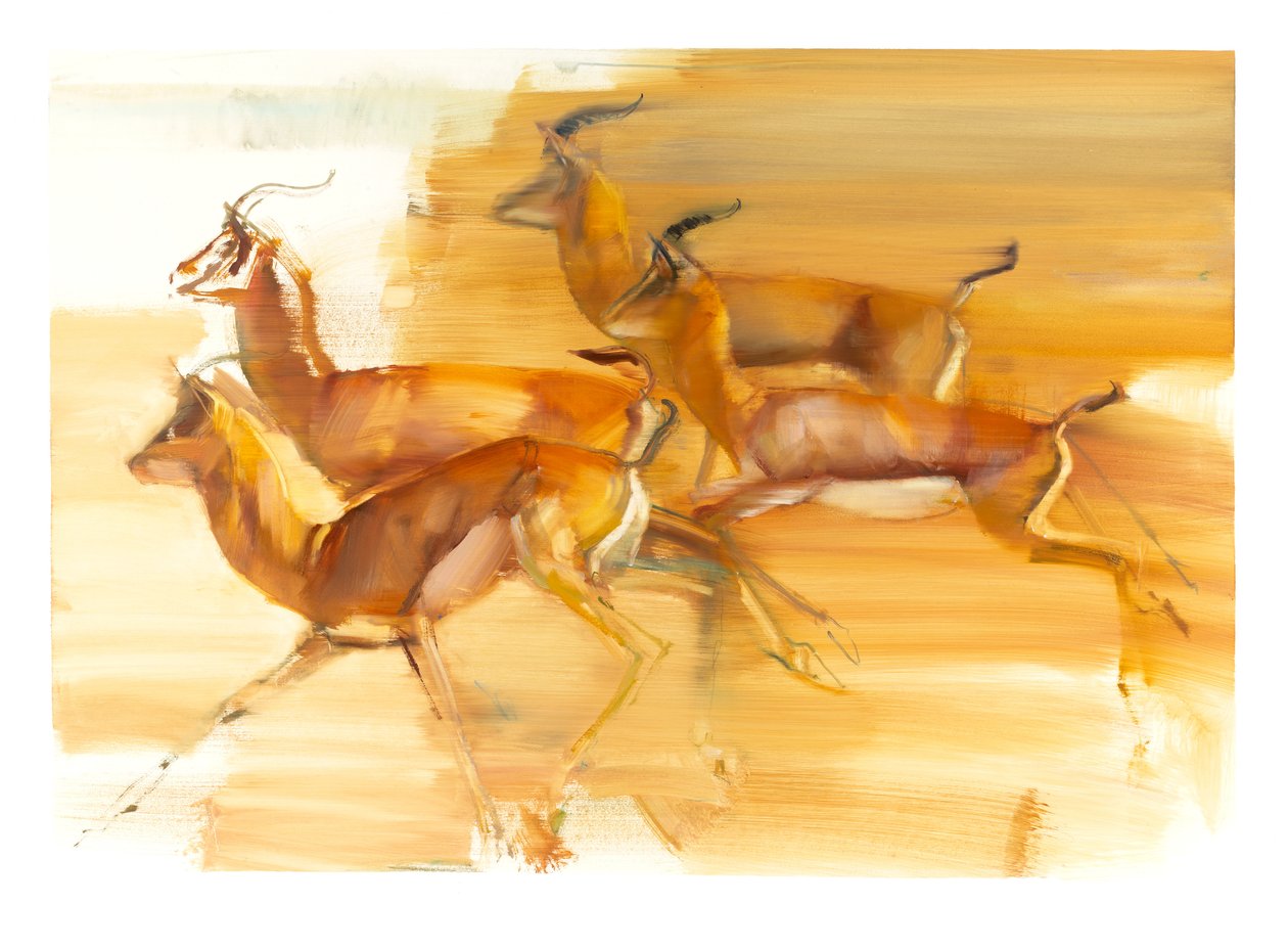 Running Gazelles, 2010 (oil on paper) 作者 马克·阿德灵顿