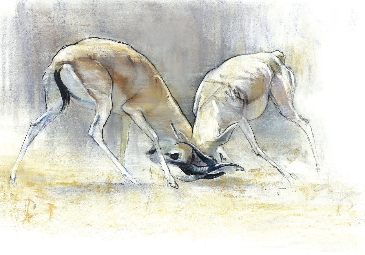 沙地羚羊，2009年（纸上油画和木炭）。 作者 马克·阿德灵顿