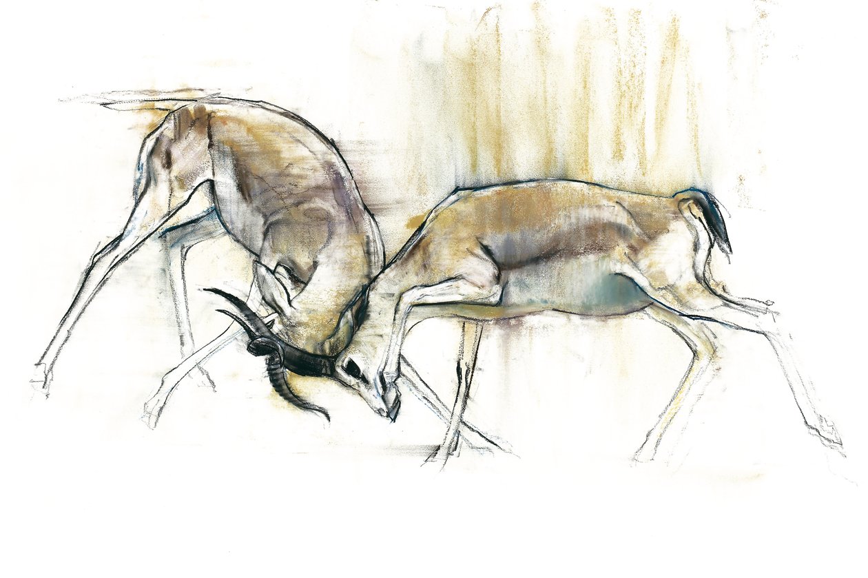 Sand Gazelles，2009年（纸上谈论炭火） 作者 马克·阿德灵顿