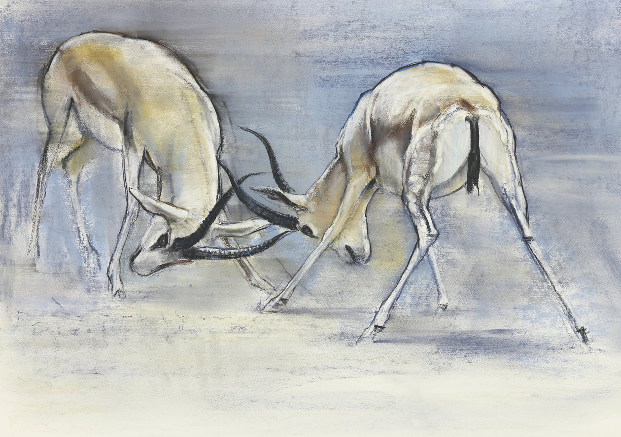 Sand Gazelles，2009年（纸上谈论炭火） 作者 马克·阿德灵顿