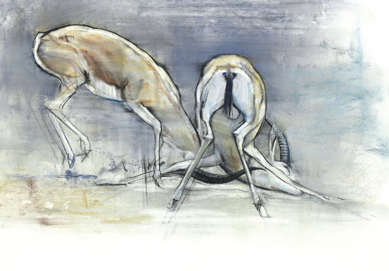 Sand Gazelles，2009年（纸上谈论炭火） 作者 马克·阿德灵顿