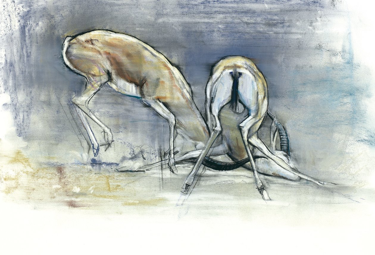 Sand Gazelles，2009年（纸上谈论炭火） 作者 马克·阿德灵顿