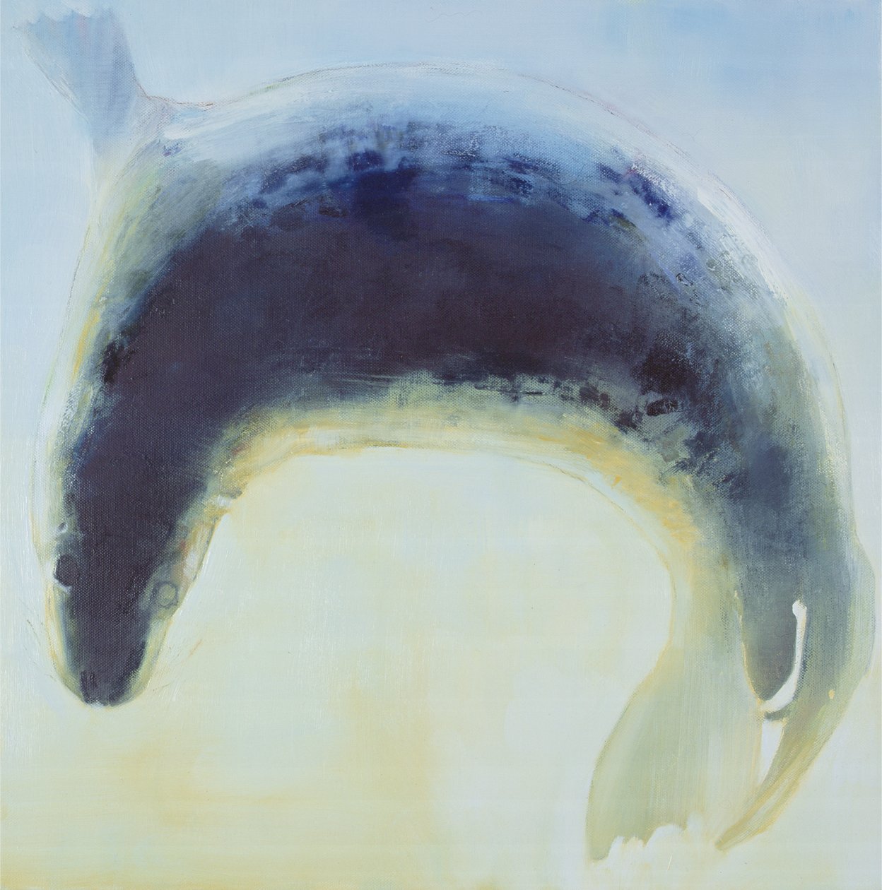 密封圈，2003年 作者 马克·阿德灵顿
