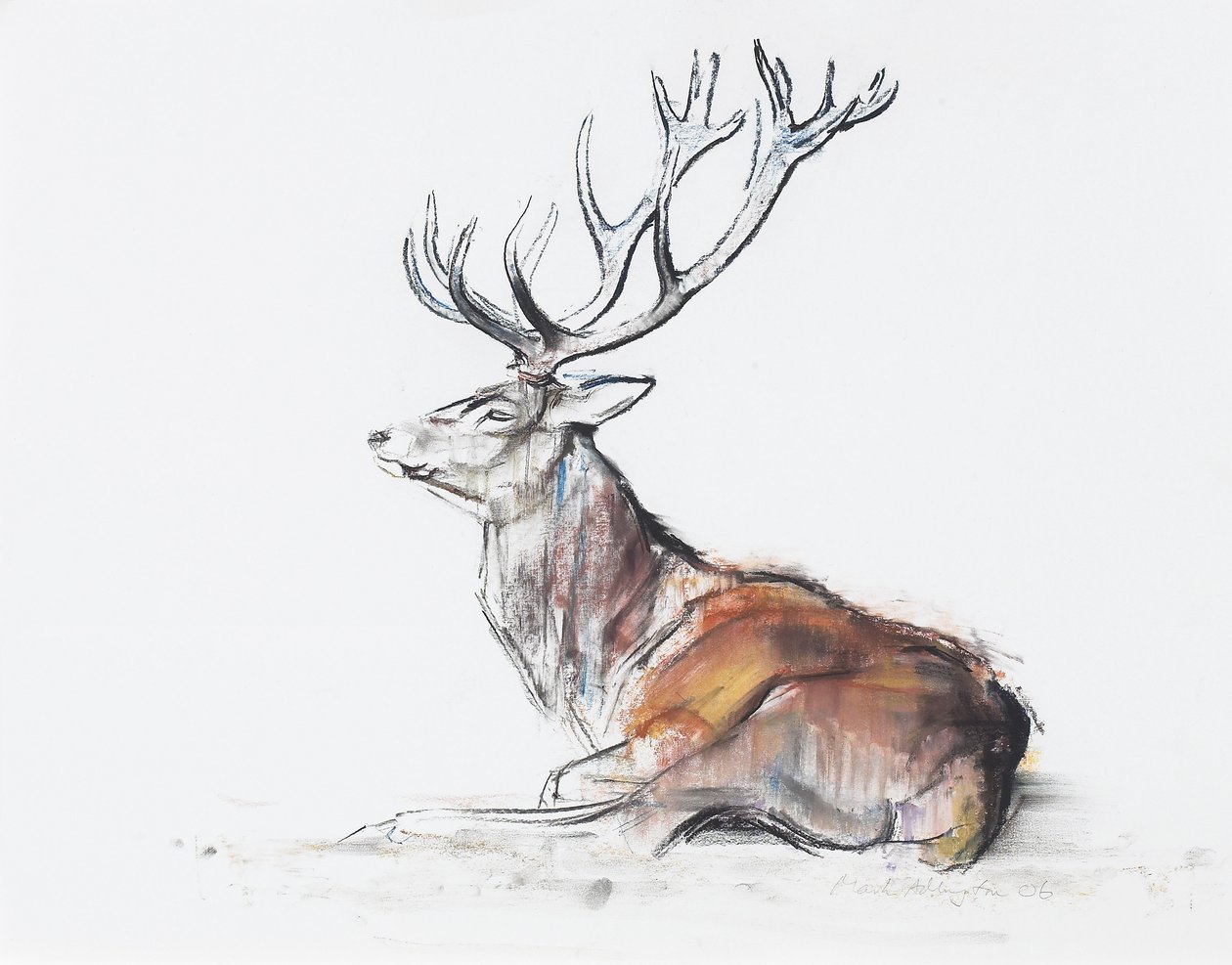 Seated Stag，2006年（木炭和纸上谈话） 作者 马克·阿德灵顿