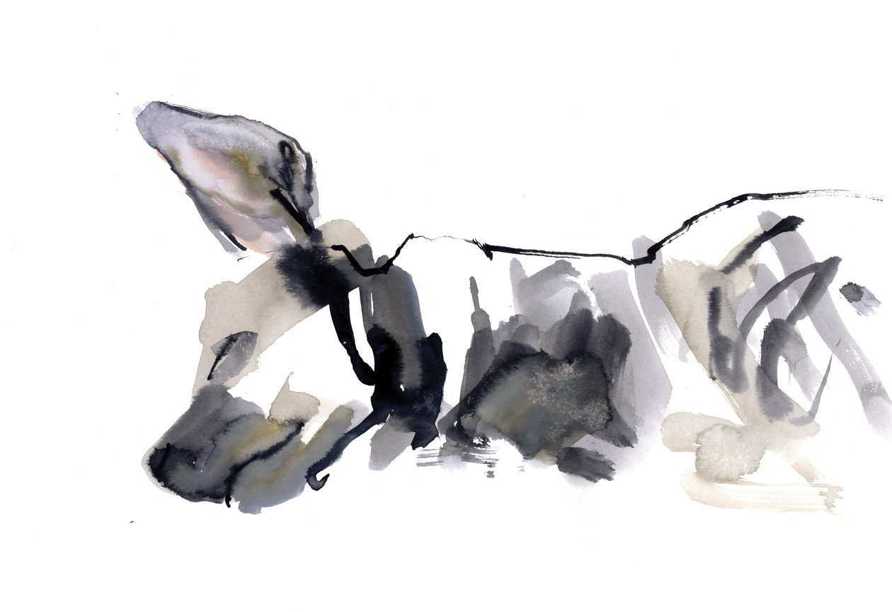 睡觉Hyaena，2010年，（纸上水彩） 作者 马克·阿德灵顿