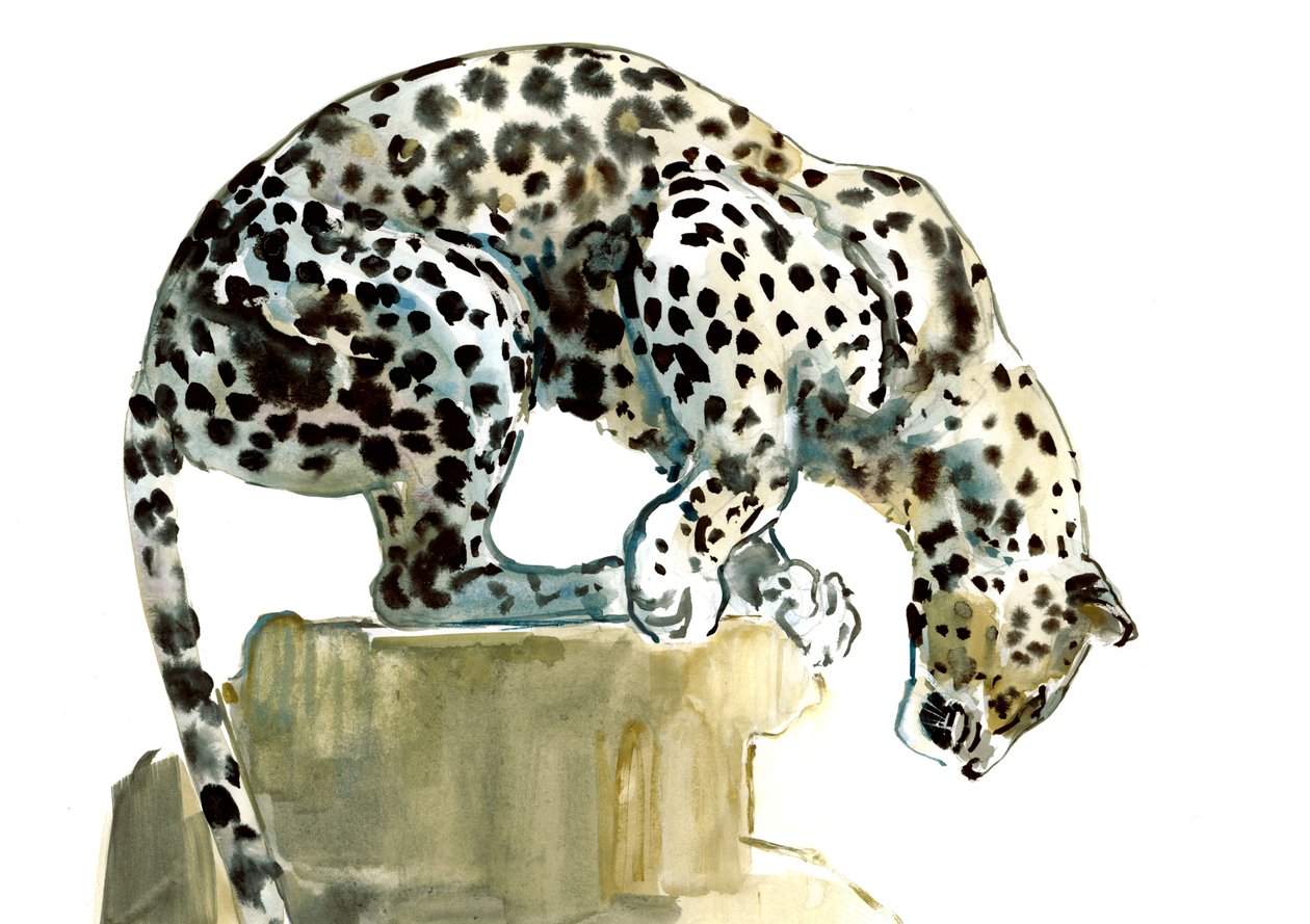 脊椎（阿拉伯豹），2015年，（纸上水彩和水粉） 作者 马克·阿德灵顿