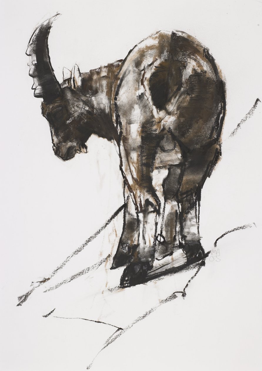 Sun，Crocheneville，2005（木炭和纸上谈话） 作者 马克·阿德灵顿