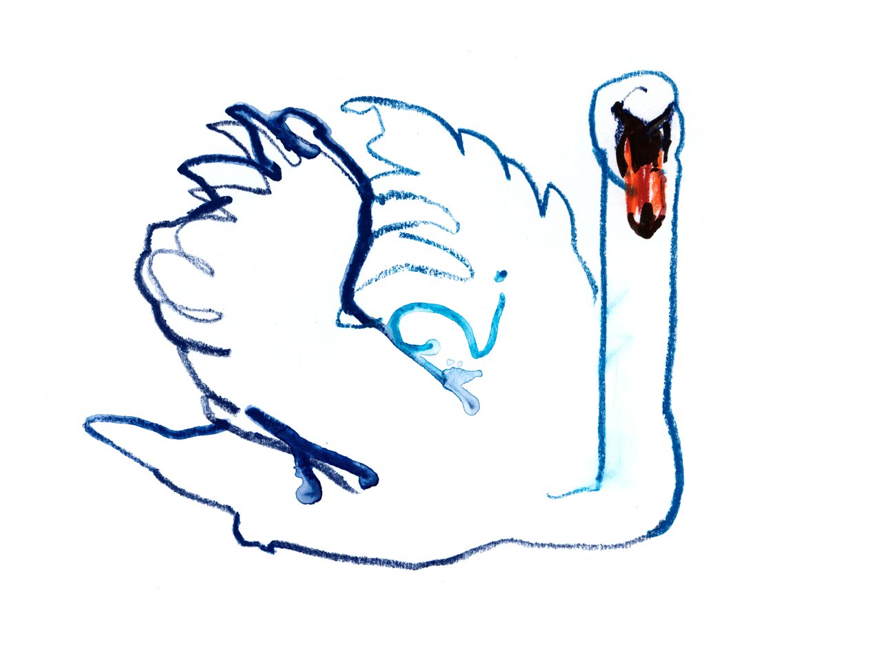 Swan, 2021 作者 马克·阿德灵顿
