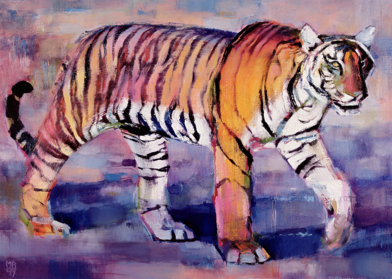 母老虎，印度，卡纳，1999年 作者 马克·阿德灵顿