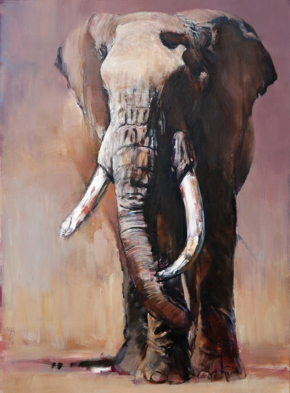 Tofauti, Chyulu Hills, 2018 作者 马克·阿德灵顿
