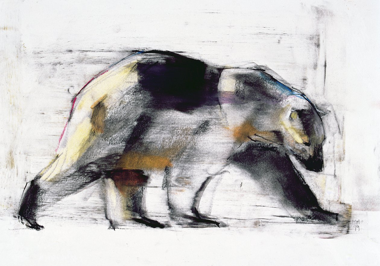 Ursus Maritimus，1999年（木炭和纸上谈话） 作者 马克·阿德灵顿