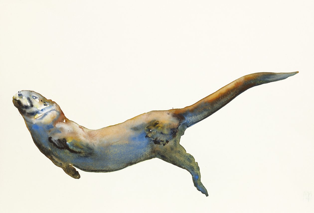 天鹅绒，2014年，（纸上水彩） 作者 马克·阿德灵顿