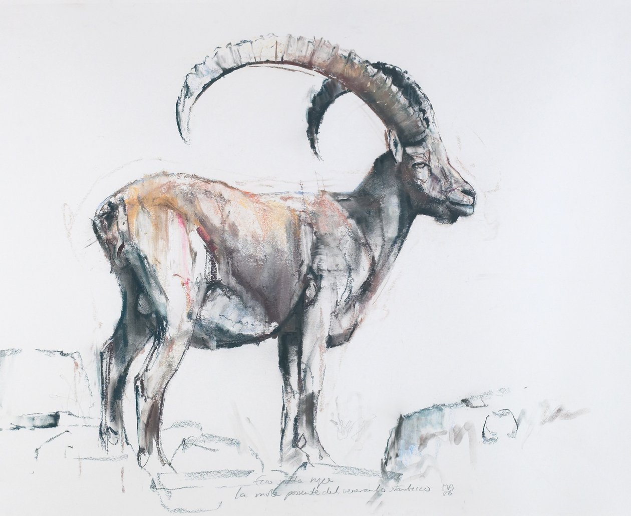 在履行stambecco，2006年（在纸上UND康特木炭） 作者 马克·阿德灵顿