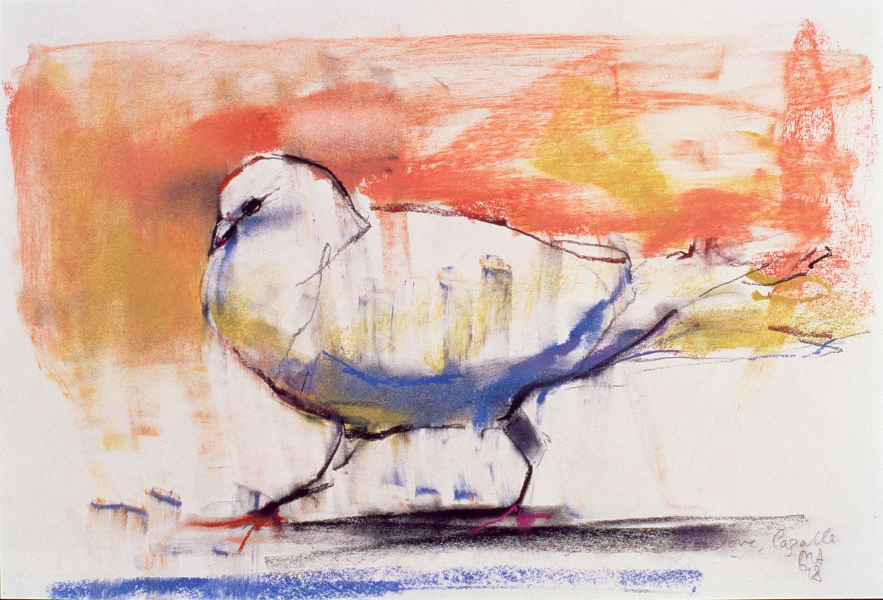 步行鸽子，特拉西耶拉，1998年（纸和木炭） 作者 马克·阿德灵顿