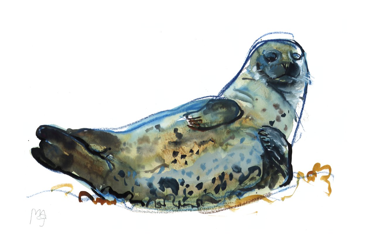 Westcove seal, 2019 作者 马克·阿德灵顿