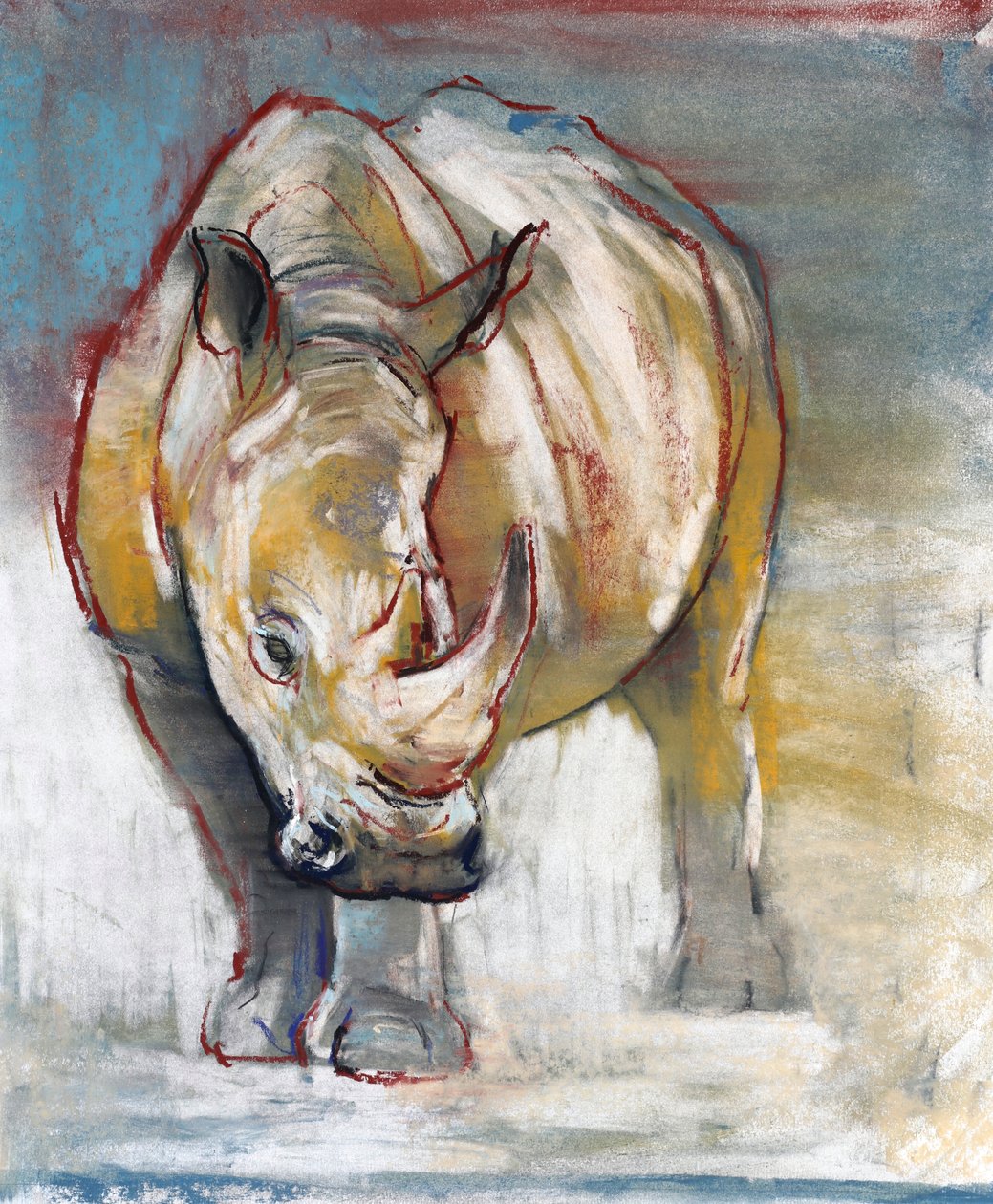White Rhino, Ol Pejeta, 2018 作者 马克·阿德灵顿