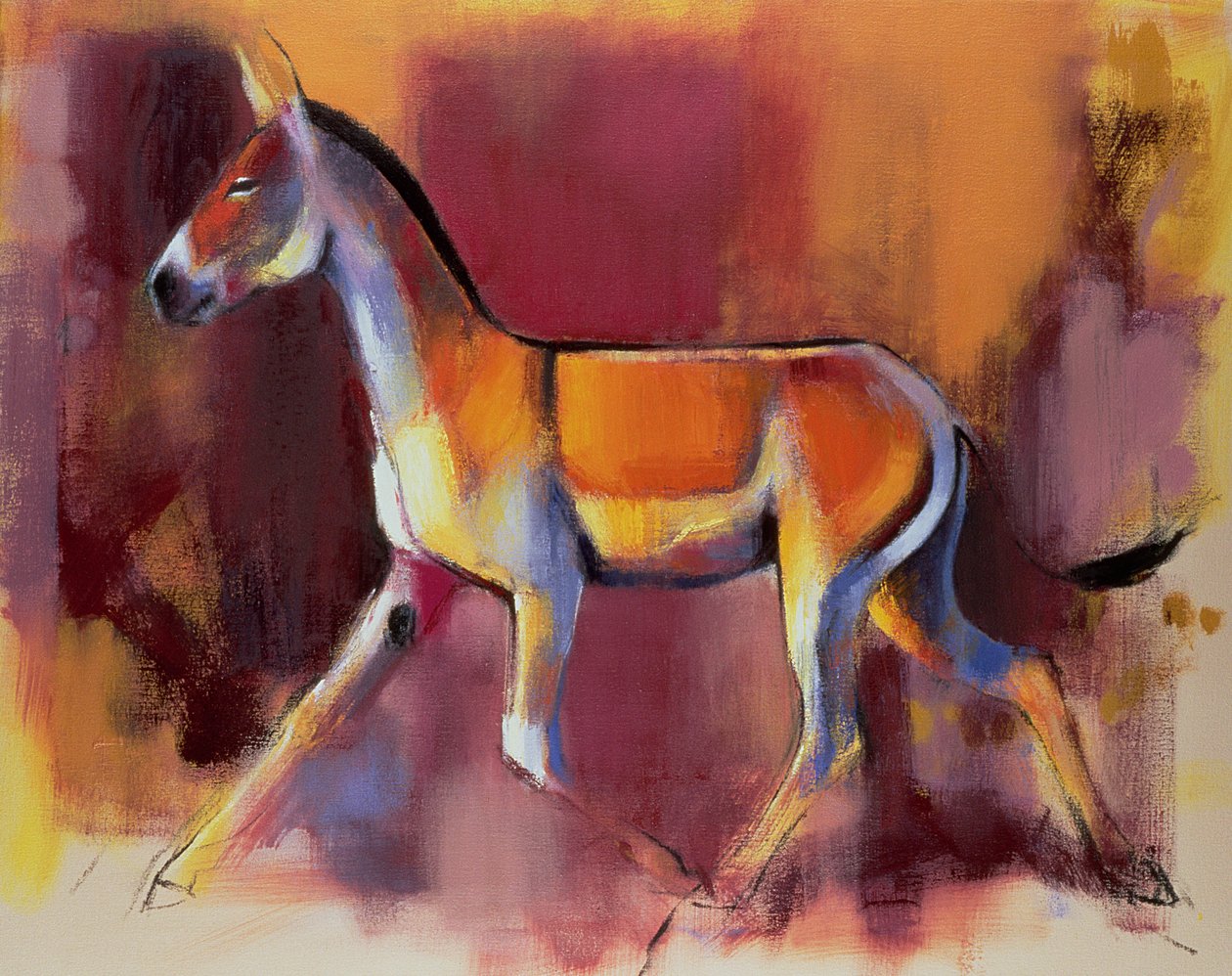 Wild Ass，Rann of Kutch，1996 作者 马克·阿德灵顿
