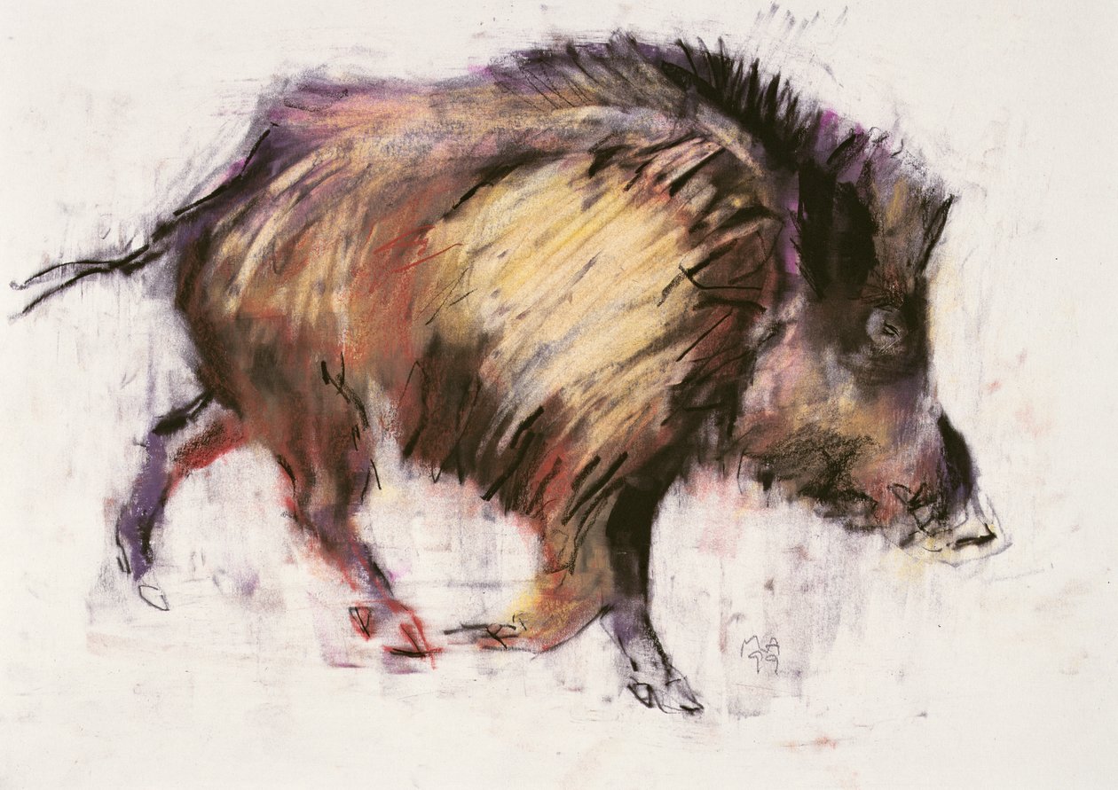 Wild Boar Trotting，1999（石墨，背景和纸上木炭） 作者 马克·阿德灵顿