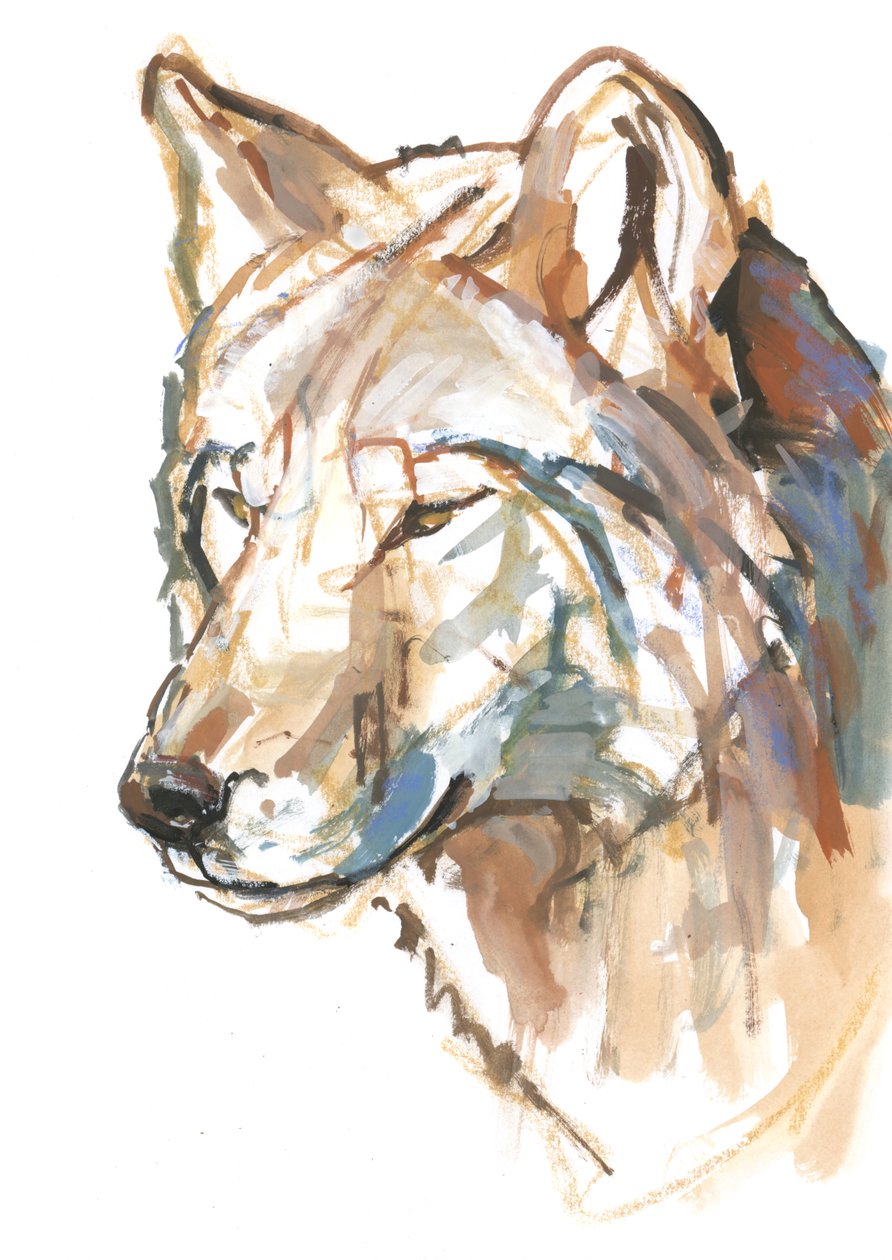 Wolf, 2018 作者 马克·阿德灵顿