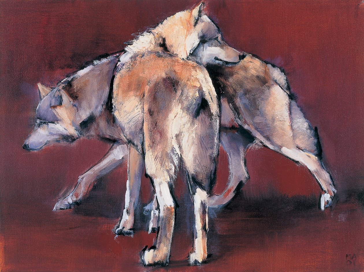 Wolf Composition，2001 作者 马克·阿德灵顿