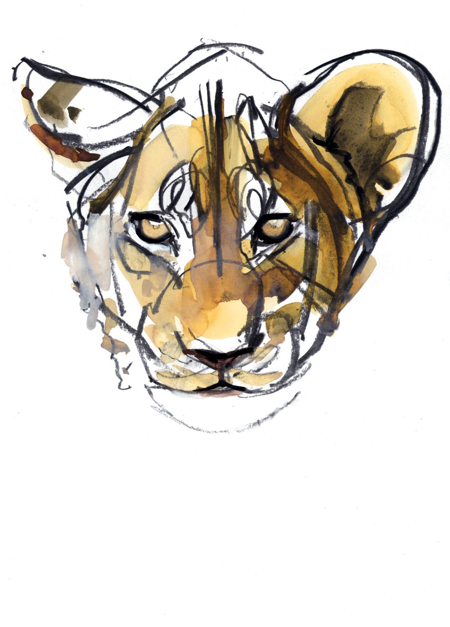 Yellow Cub, 2019 作者 马克·阿德灵顿