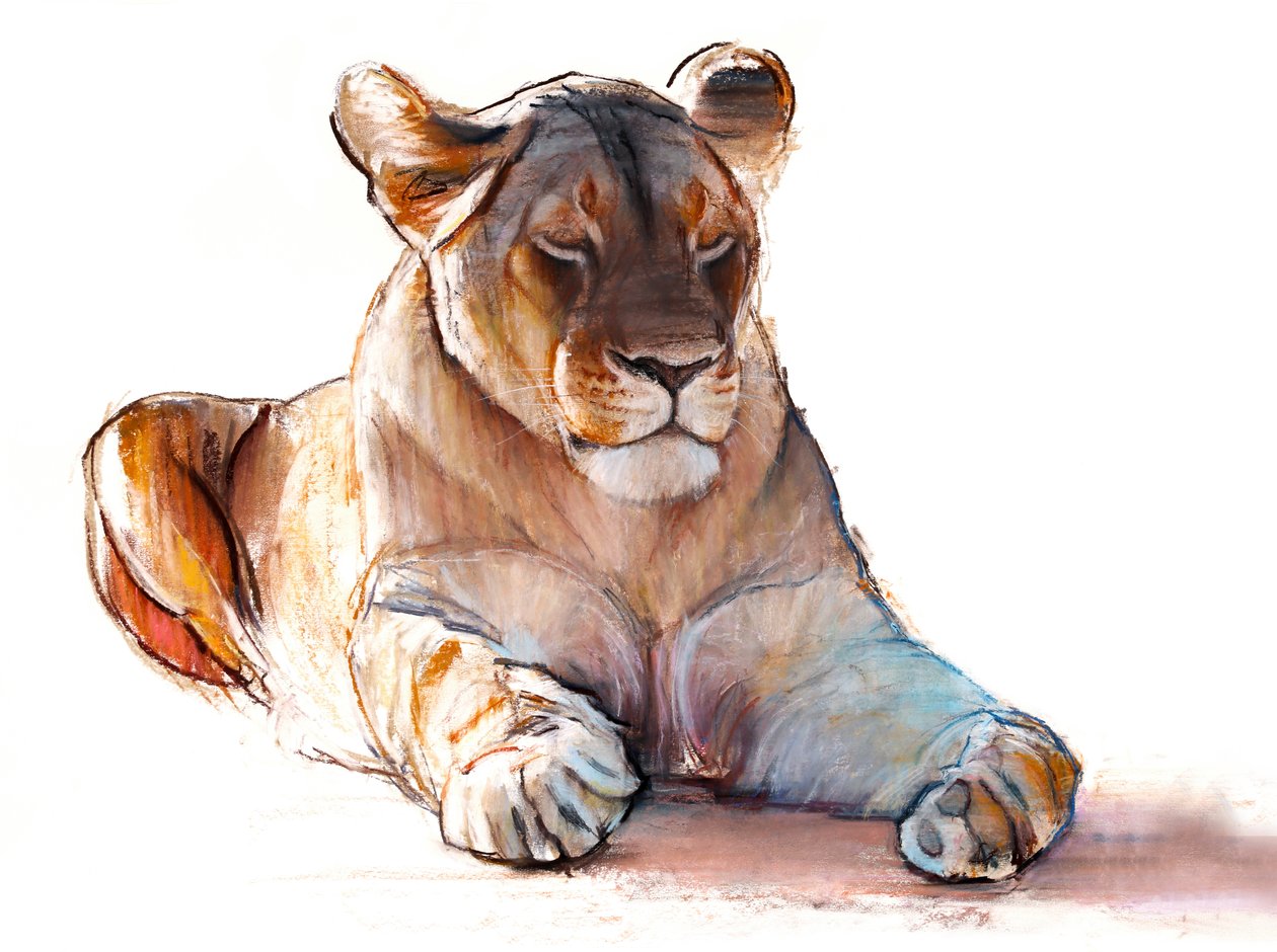 Yogi Lioness, 2019 作者 马克·阿德灵顿