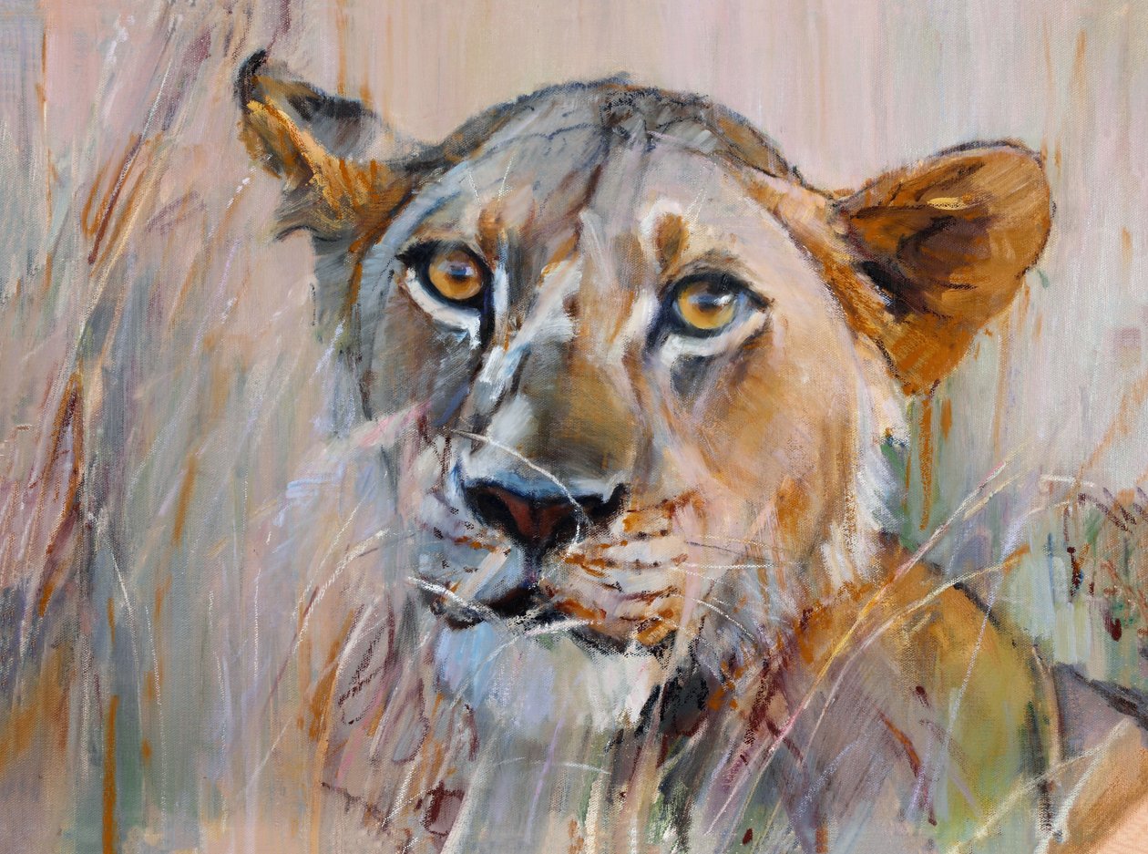 Young Lion in the Grass, 2020 作者 马克·阿德灵顿