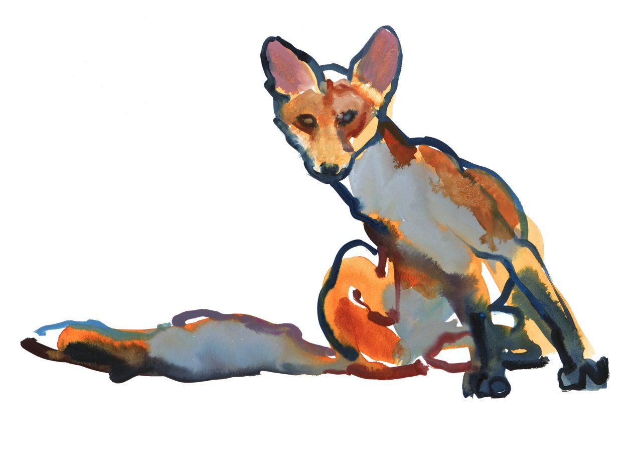 Young Vixen Grooming, 2021年 作者 马克·阿德灵顿