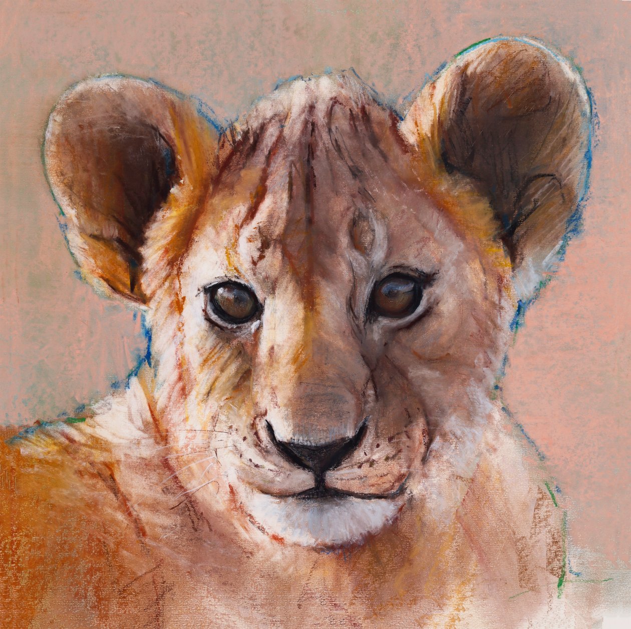 Youngest Cub, Masai Mara, 2019 作者 马克·阿德灵顿