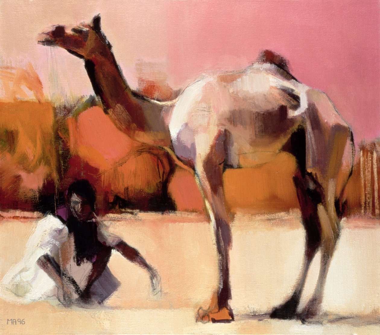 dsu and Said，Rann of Kutch，1996 作者 马克·阿德灵顿