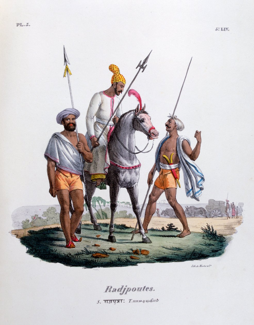 拉杰普特斯（Rajputs），1828年 作者 Marlet et Cie