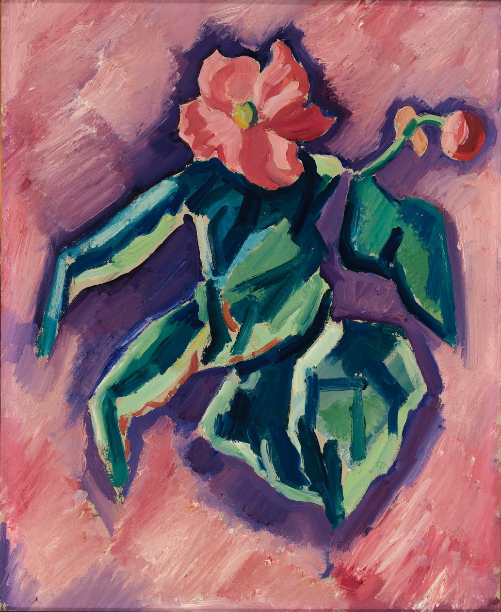 粉红海棠，1928-1929。 作者 马斯登·哈特利