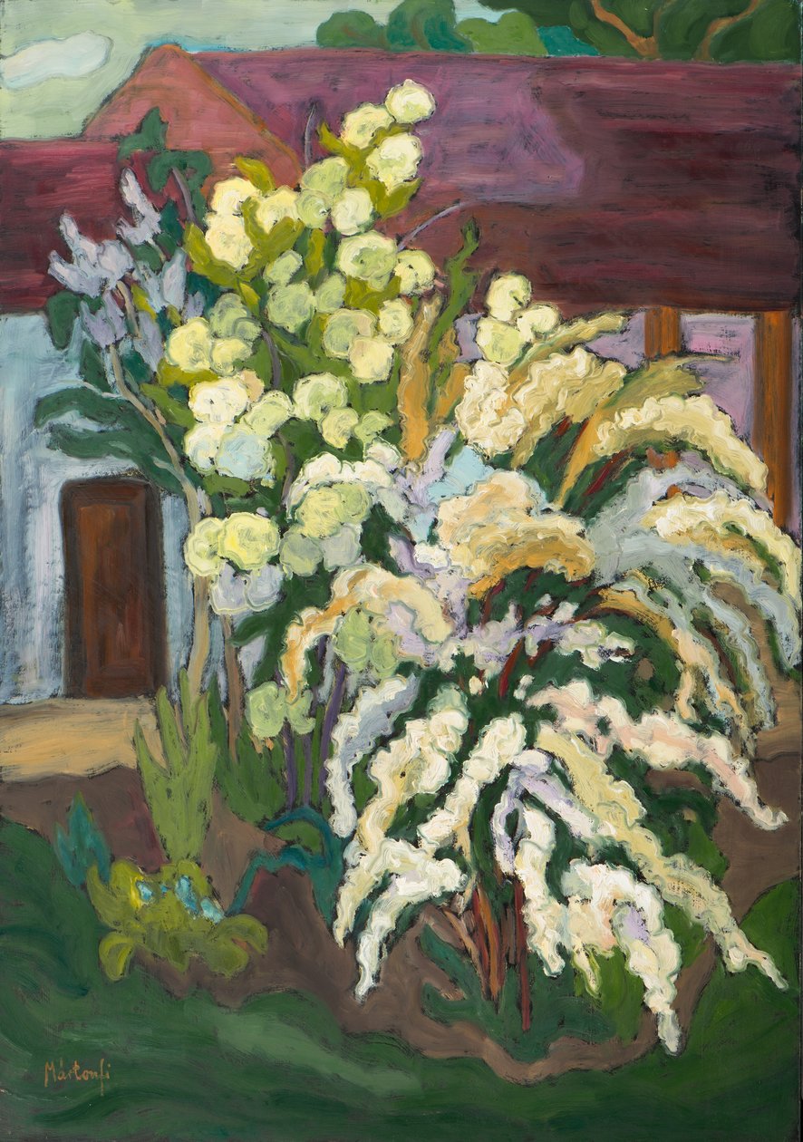 布卢姆（2011年）的灌木丛中的灌木丛 作者 玛塔·马顿菲·本克