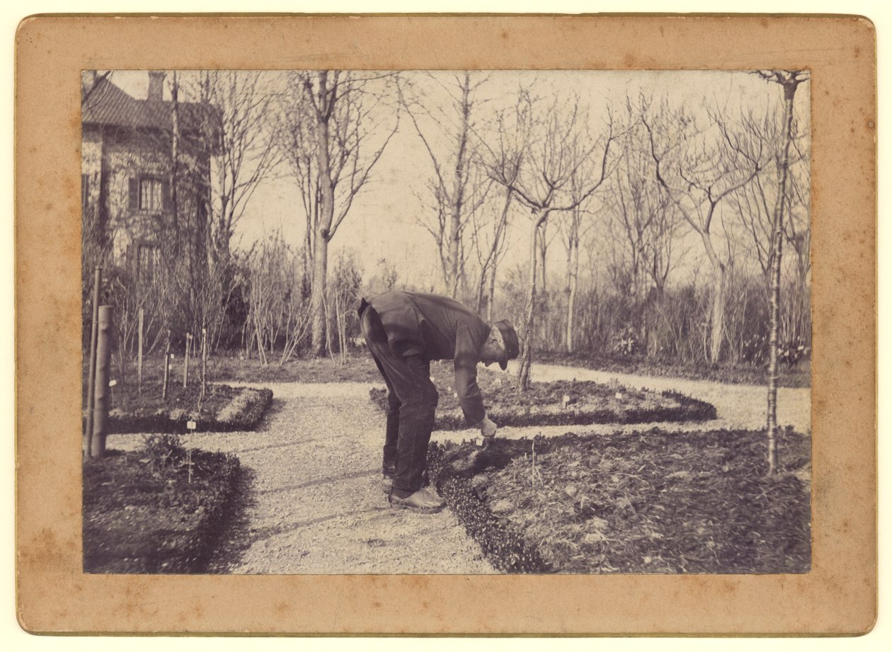 Gustave Caillebotte（1848-94）园艺于Petit Gennevilliers，1892年2月（bw照片） 作者 武术Caillebotte