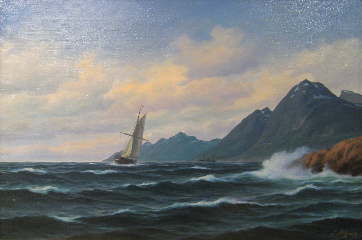 沿海景观 作者 马丁·阿加德（Martin Aagaard）