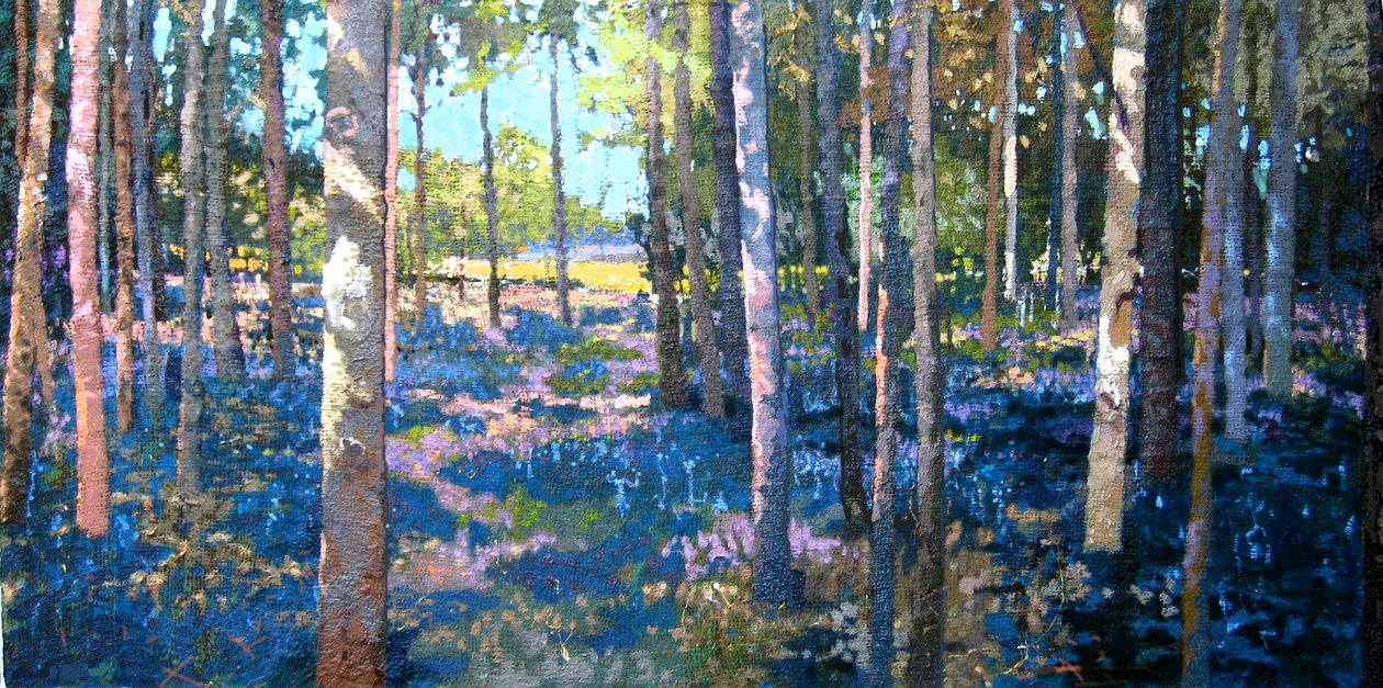 Bluebell Wood，2009 作者 马丁·德森