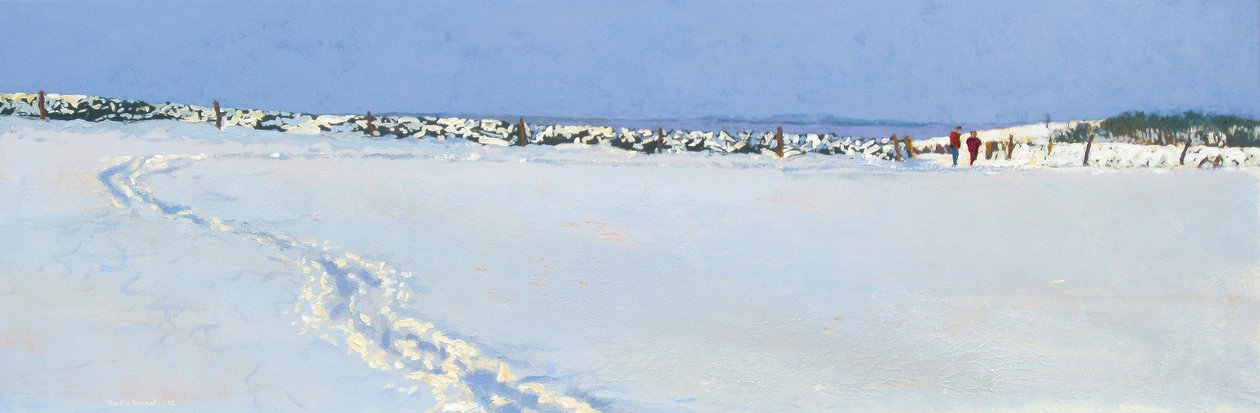 雪接近，2013年 作者 马丁·德森