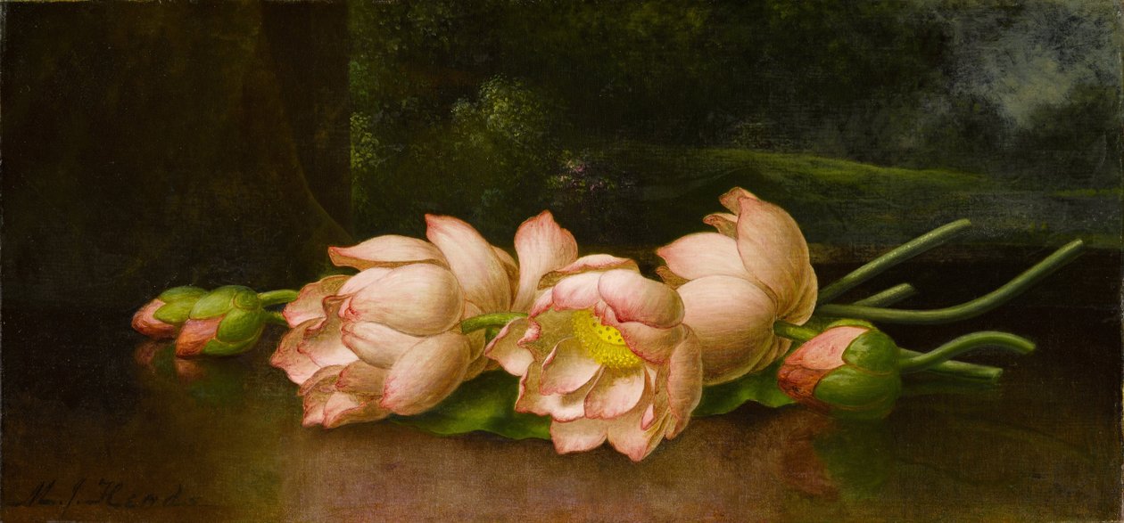 与山水画的莲花在背景中 作者 马丁·约翰逊·海德