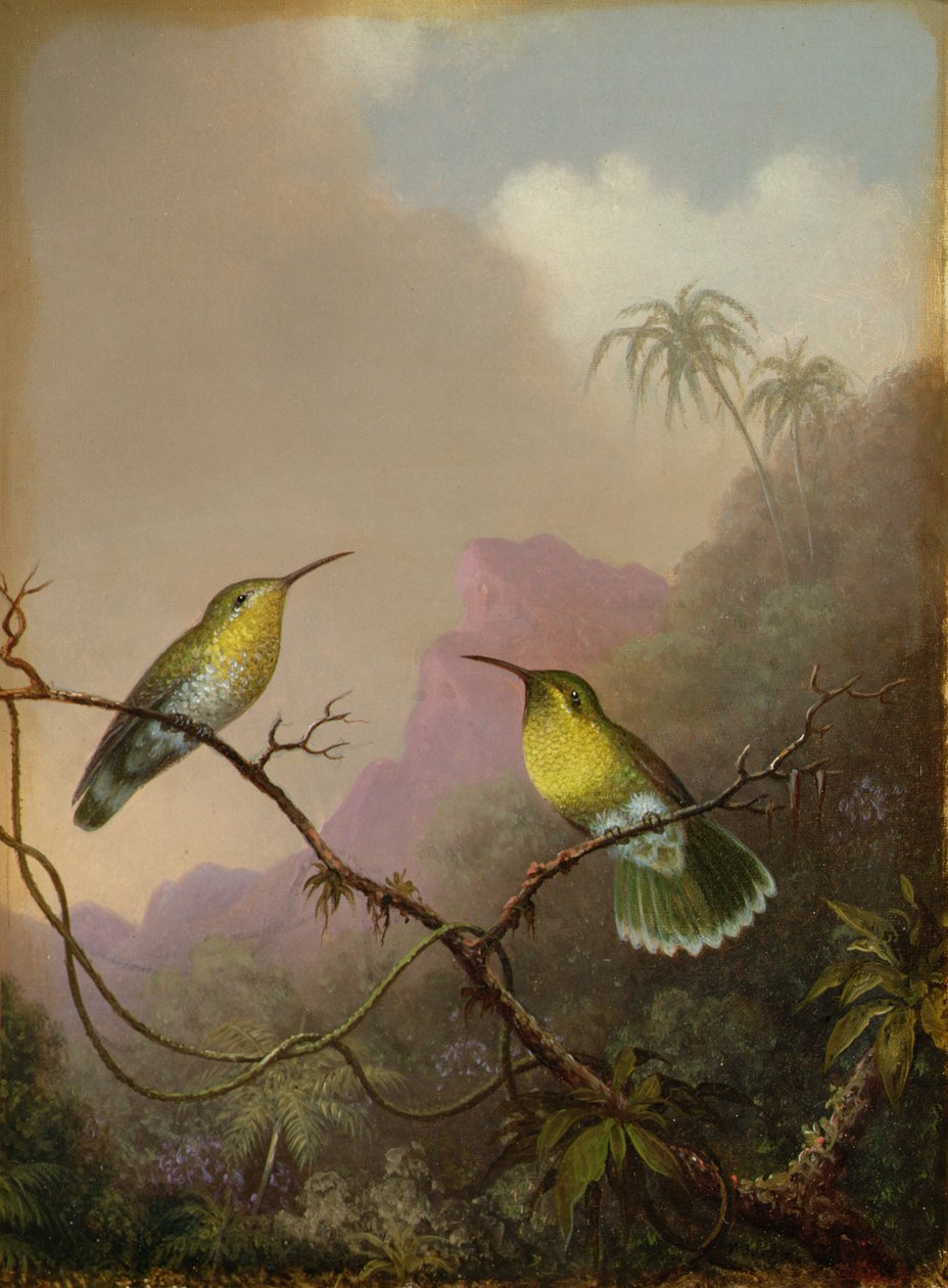 两只蜂鸟，1865-75 作者 马丁·约翰逊·海德
