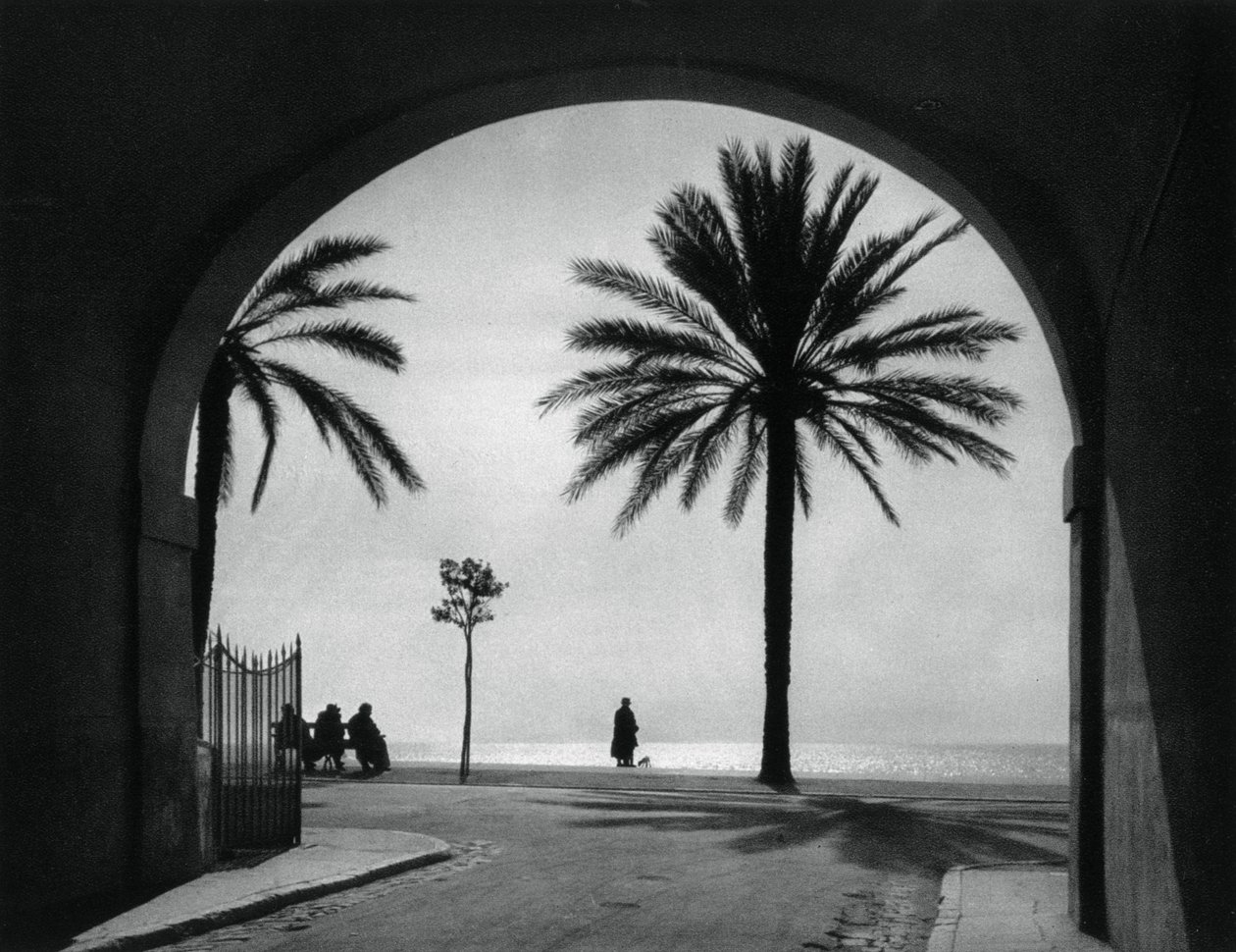 Quai des Etats-Unis，法国尼斯，1937年 作者 马丁赫利曼