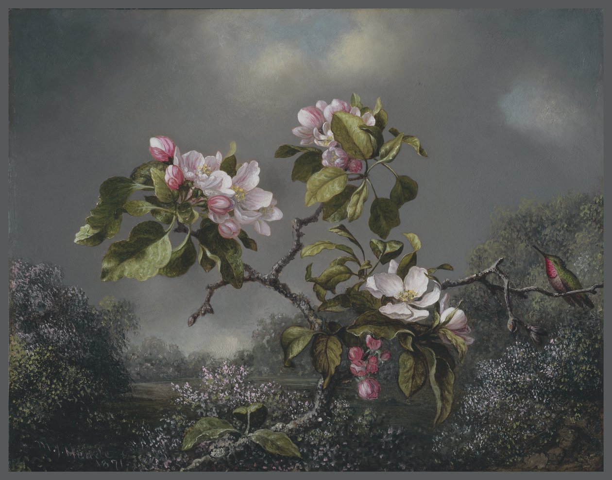 Apple Blossoms and Hummingbird，1871 作者 马丁·约翰逊·海德