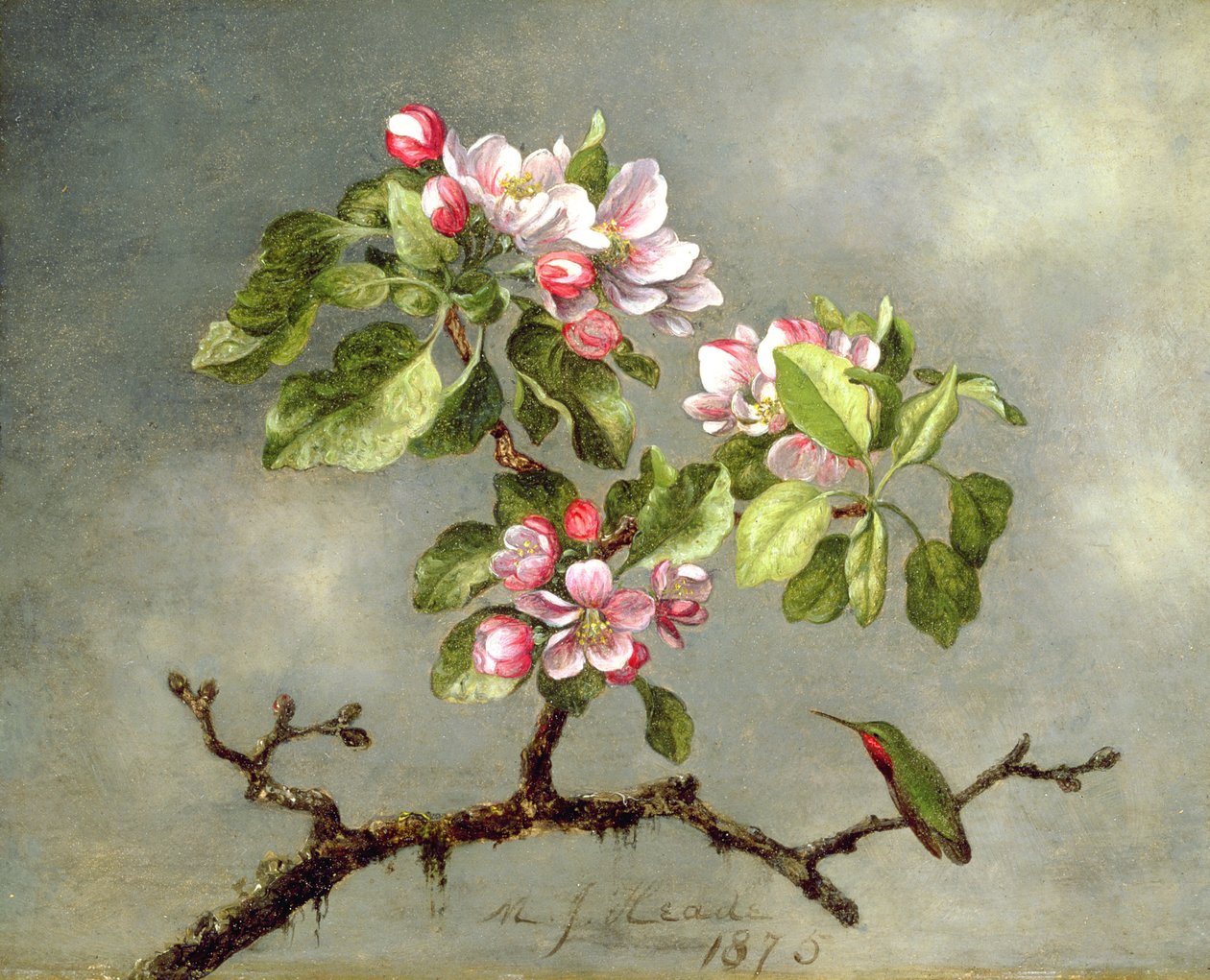 苹果花和蜂鸟，1875年 作者 马丁·约翰逊·海德