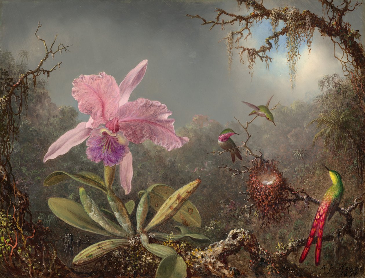 卡特利亚兰花和三只蜂鸟，1871年。 作者 马丁·约翰逊·海德