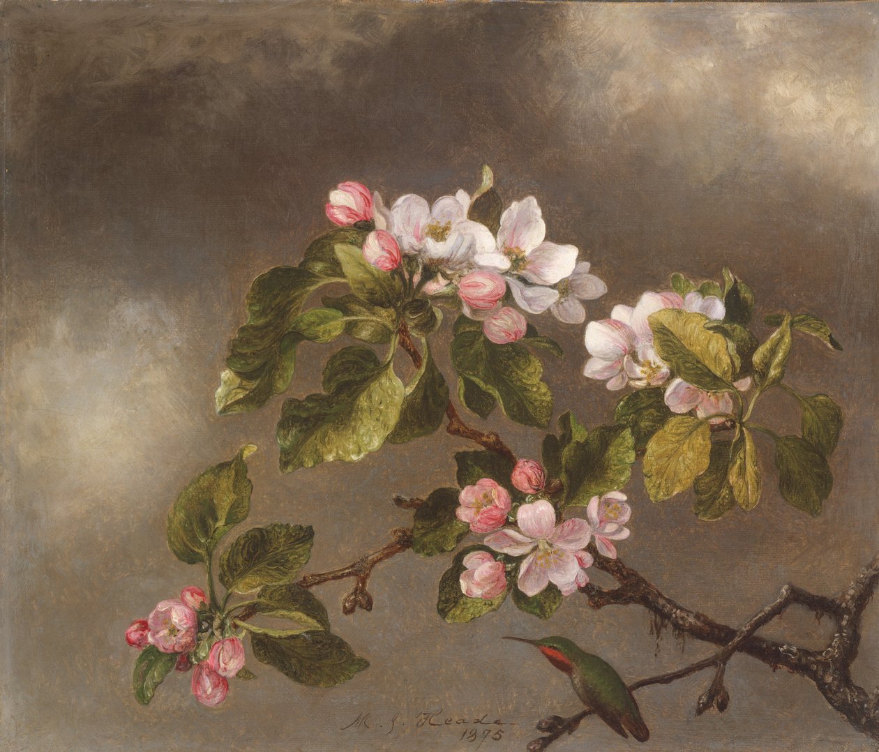 蜂鸟和苹果花，1875年。 作者 马丁·约翰逊·海德
