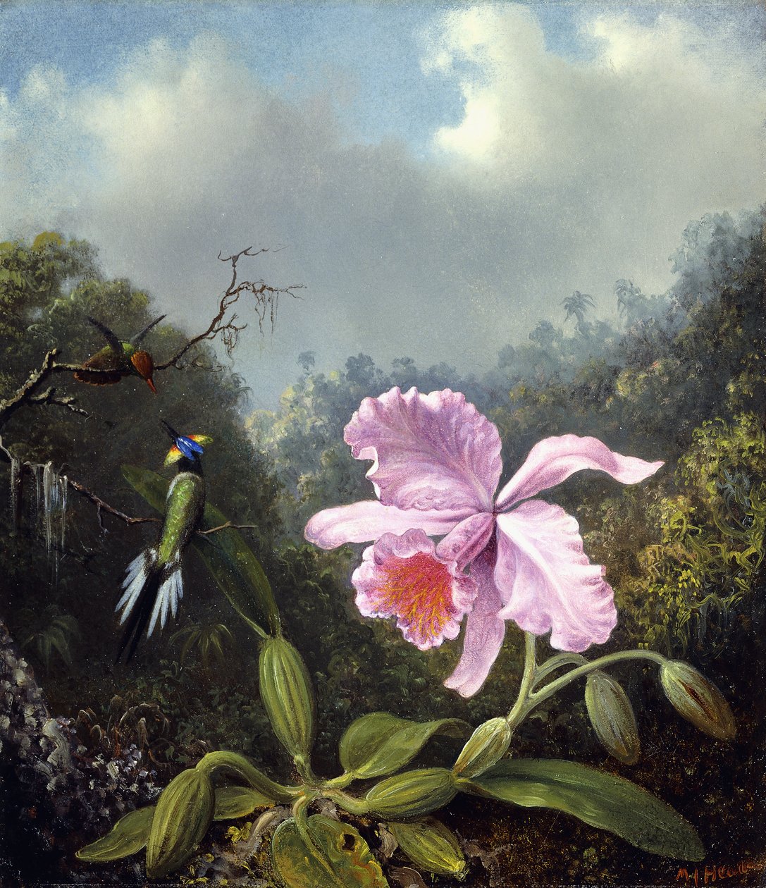 静物兰花与蜂鸟对，约1890年代 作者 马丁·约翰逊·海德