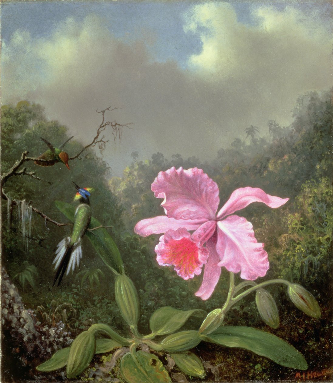 静物：兰花和一对蜂鸟，约1890年代（布面油画） 作者 马丁·约翰逊·海德