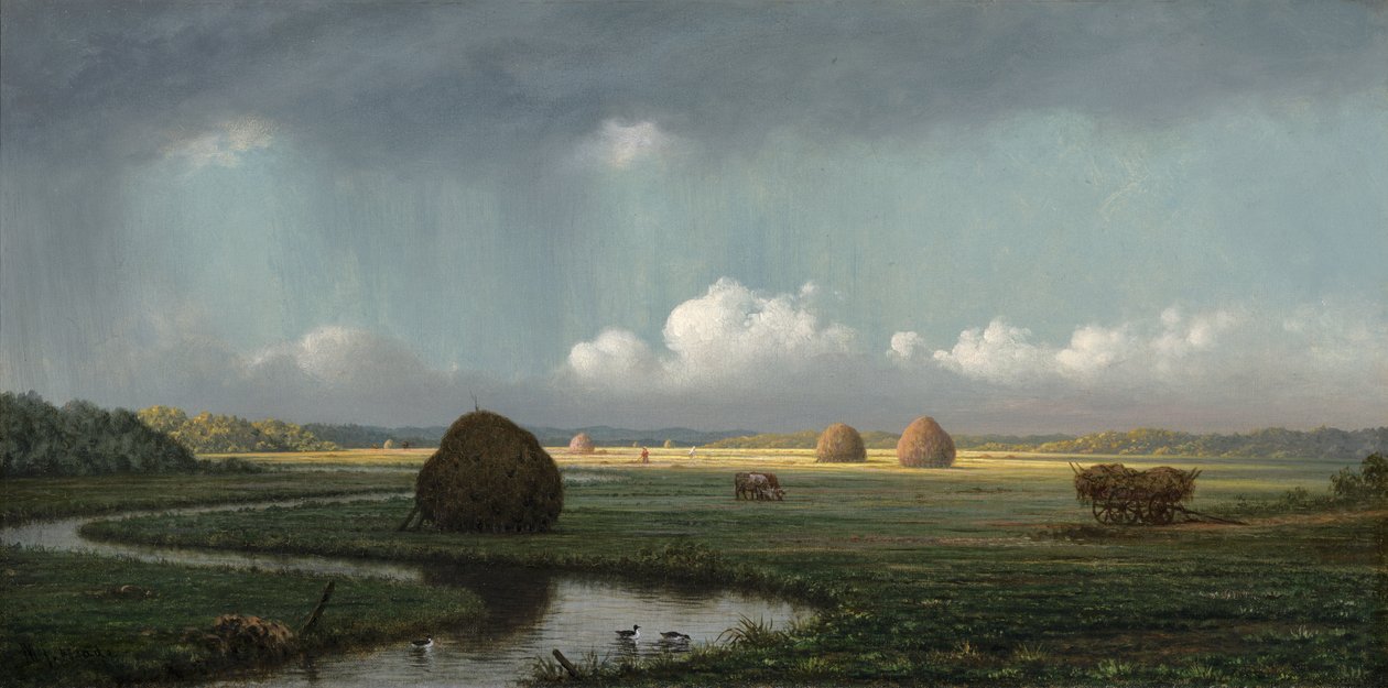 突然淋浴，纽伯里沼泽，1865-75 作者 马丁·约翰逊·海德
