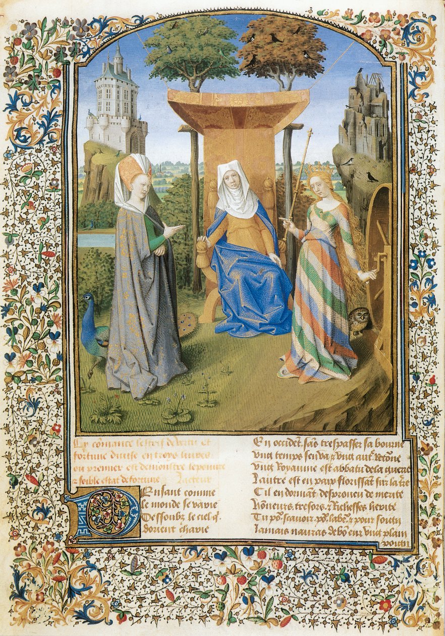  作者 马丁·法兰克